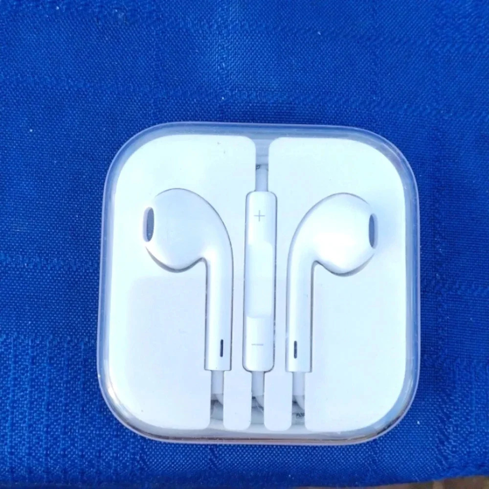 Apple Earbuds in Case